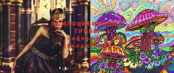 хмурый Вязники