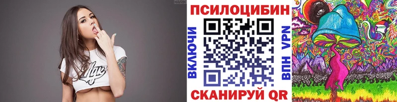Купить  Пугачёв  Галлюциногенные грибы Cubensis 
